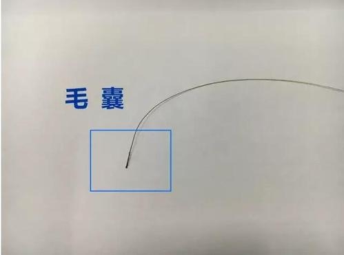 想做個(gè)人親子鑒定，頭發(fā)可以鑒定嗎？